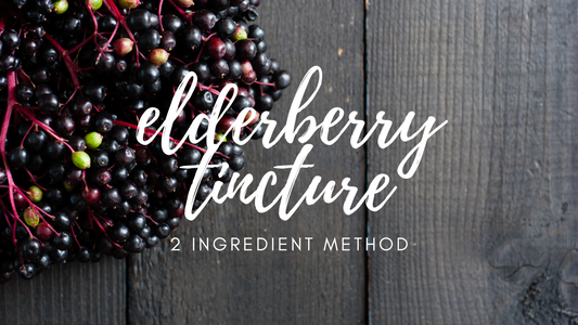 Elderberry Tincture