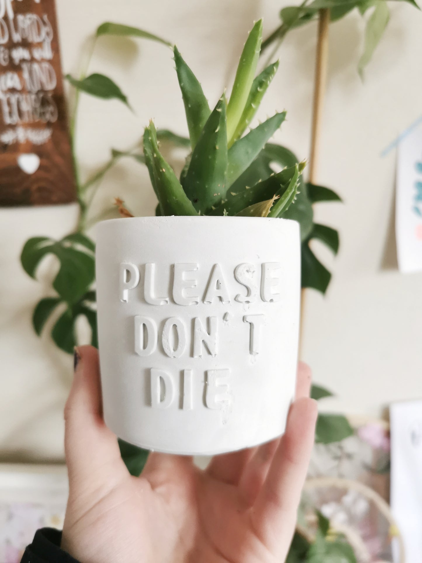 Please Don't Die Plant Pot