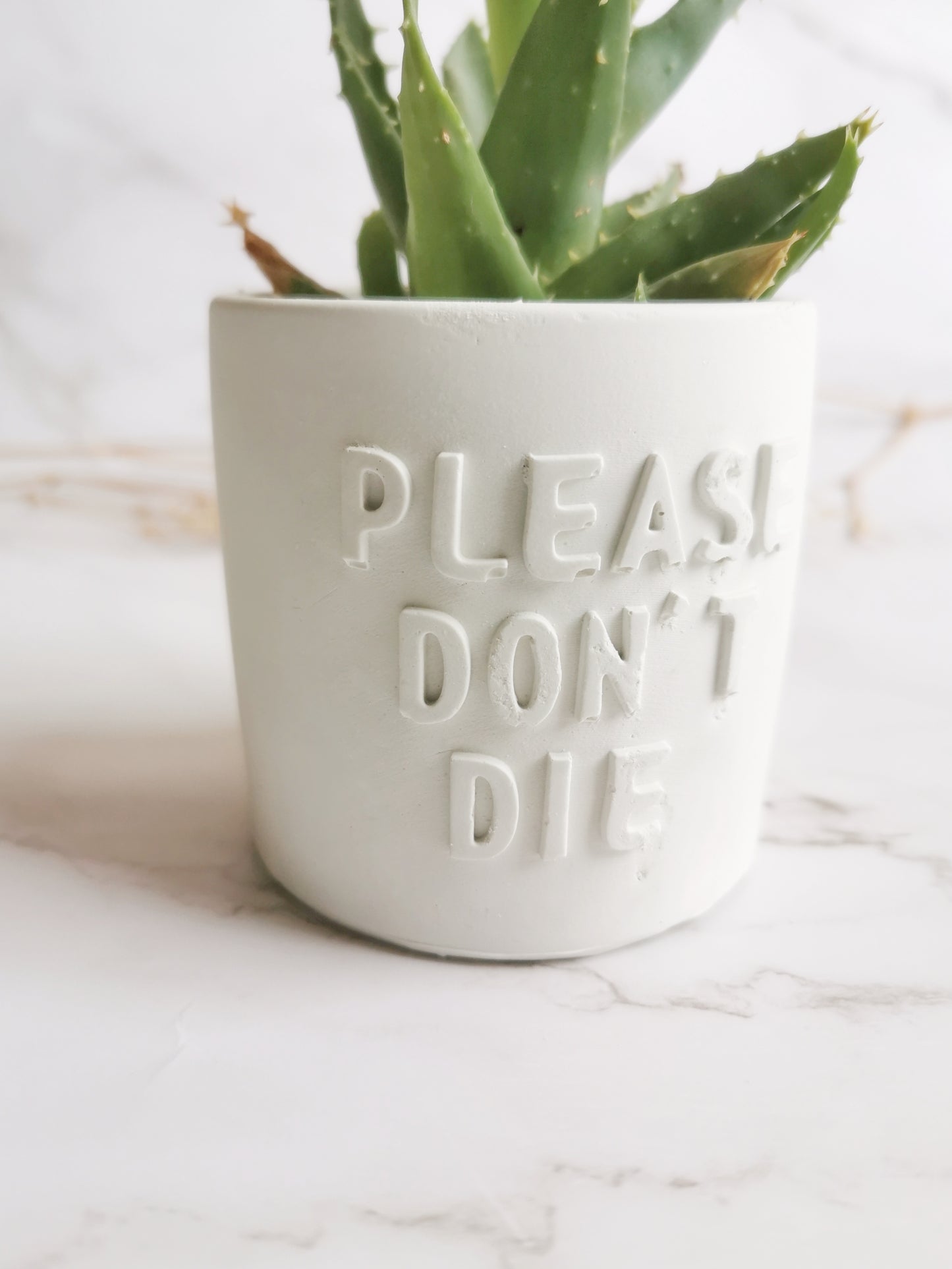 Please Don't Die Plant Pot