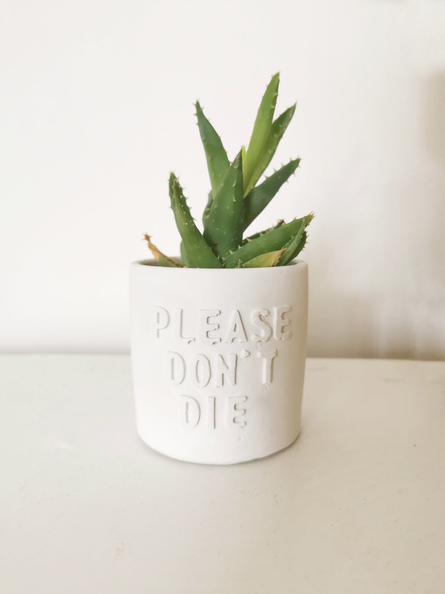 Please Don't Die Plant Pot
