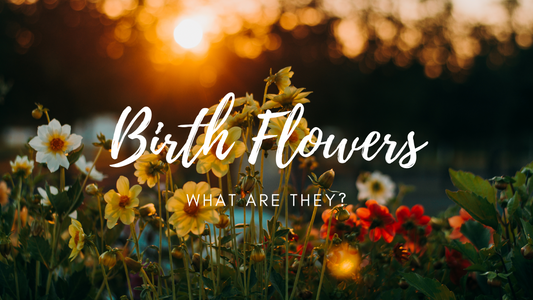 Birth Flowers: What Are They, And What Is Yours?