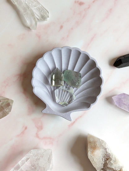 Seashell Trinket Dish