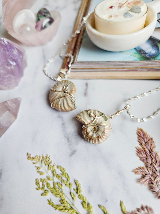 Rainbow Ammonite Necklace