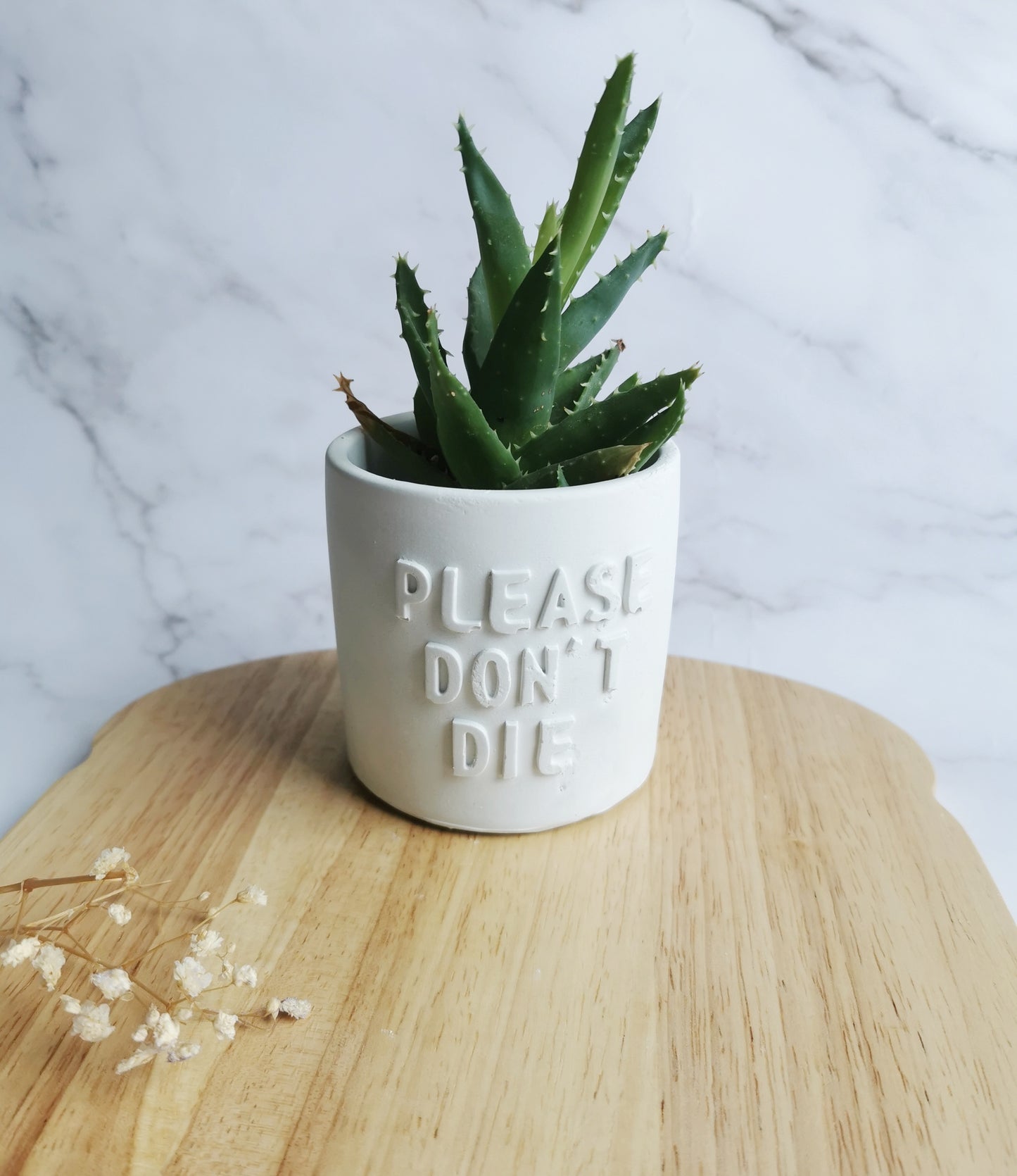 Please Don't Die Plant Pot
