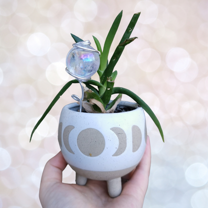Crystal Ball Plant Sticks