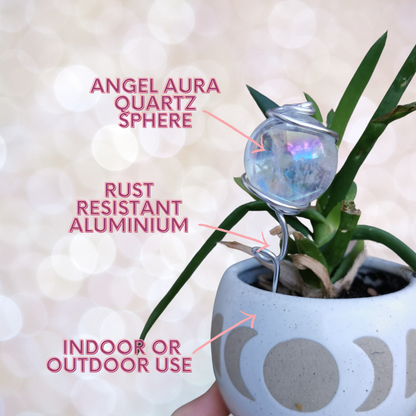 Crystal Ball Plant Sticks